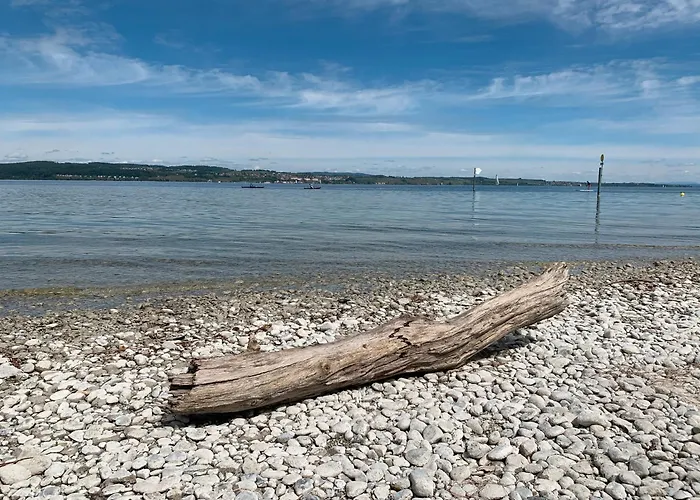 Daire Weltmenschen *