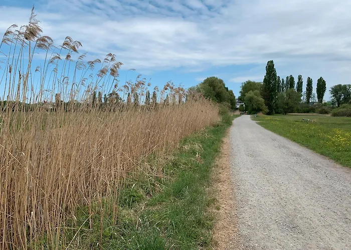 Weltmenschen Daire Konstanz